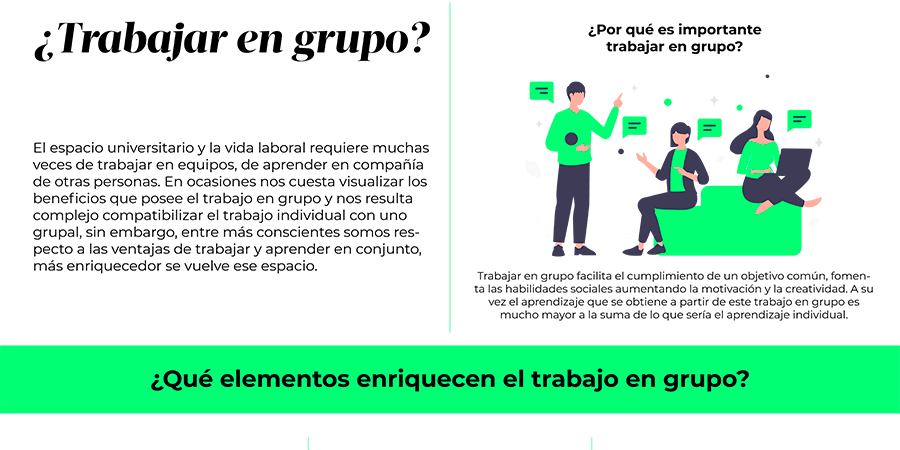 Imagen 6