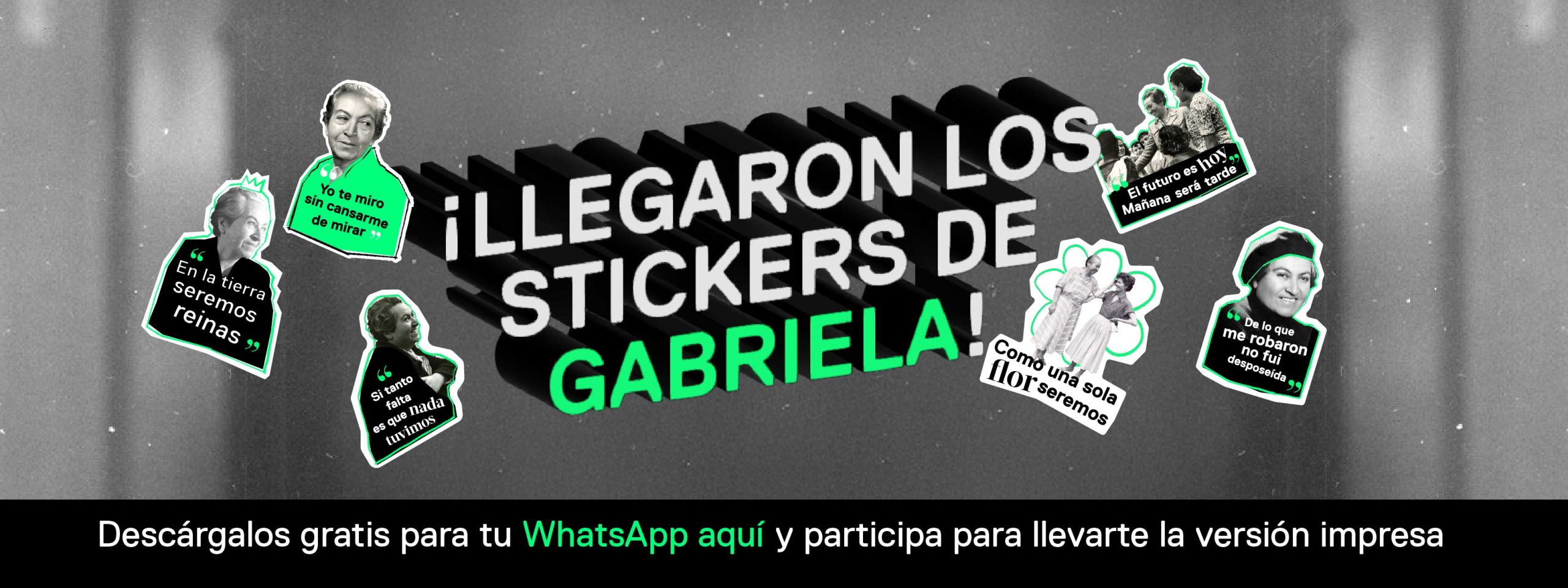 Gráfica de la tienda