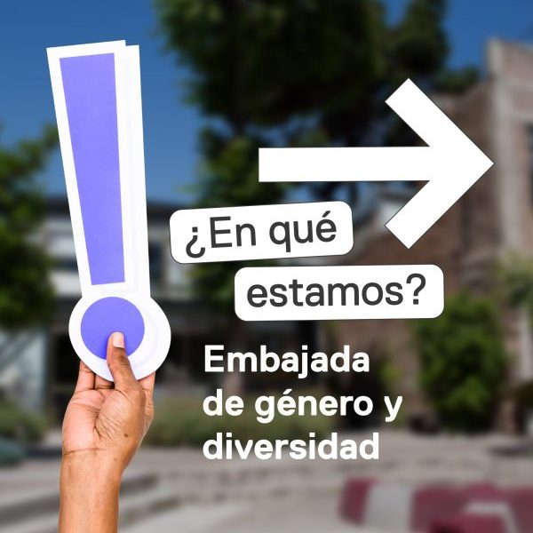 Descripción del post 2