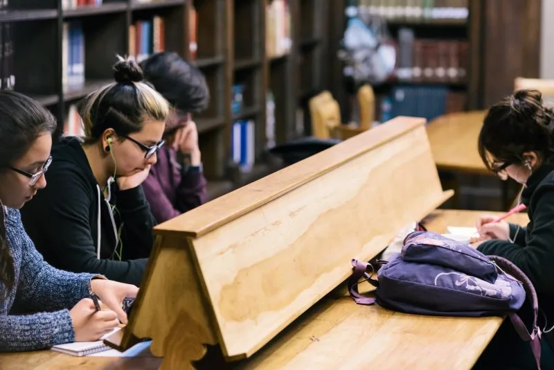 Descripción de la imagen