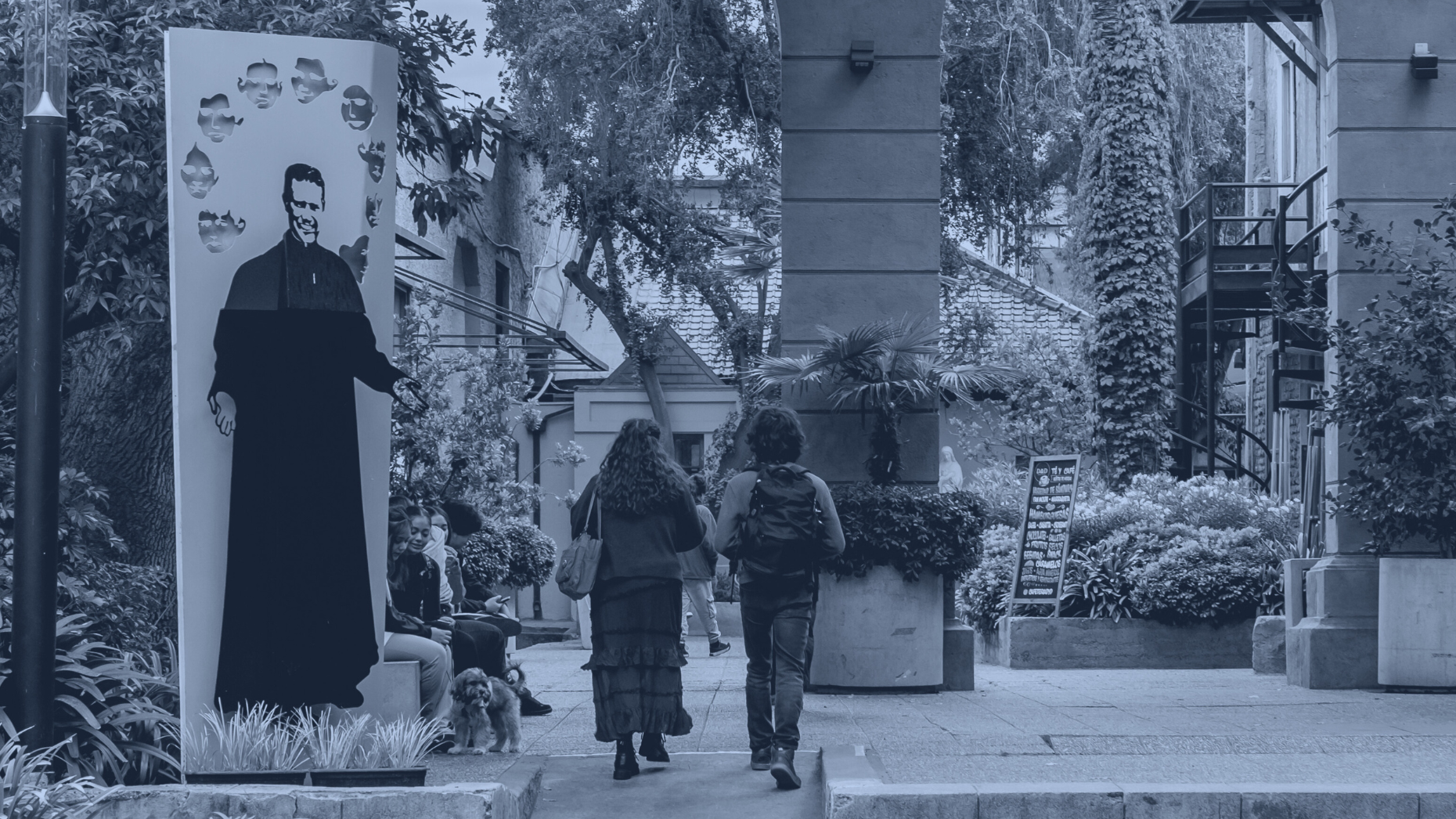 Descripción de la imagen