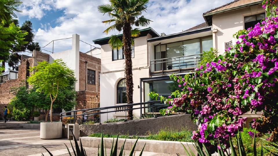 Imagen de ECONOMÍA Y NEGOCIOS