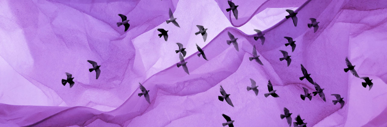 Instituto de Música estrenará La Rara. Ópera Violeta entre tres jornadas, basada en la vida y obra de Violeta Parra